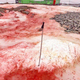 Imagen para el artículo titulado La Antártida amanece con impactantes imágenes de hielo rojo, y no son buenas noticias